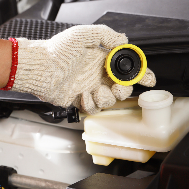 Car Car Fluids Check